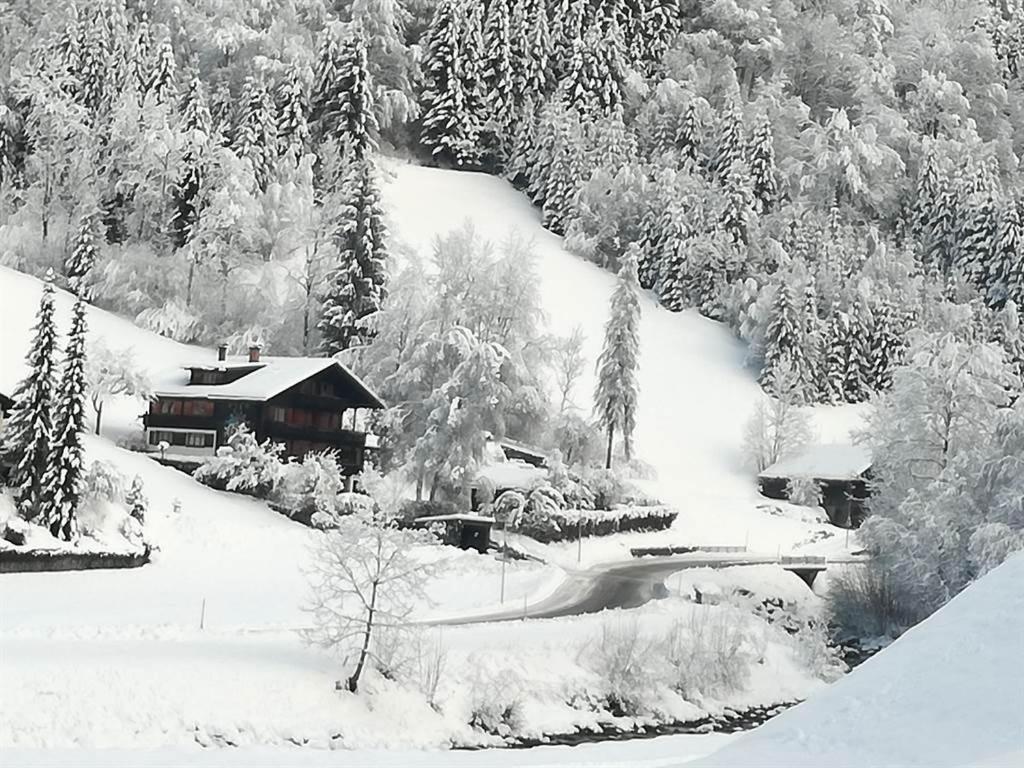 Ferienwohnung Zudrellhus Silbertal Exterior foto